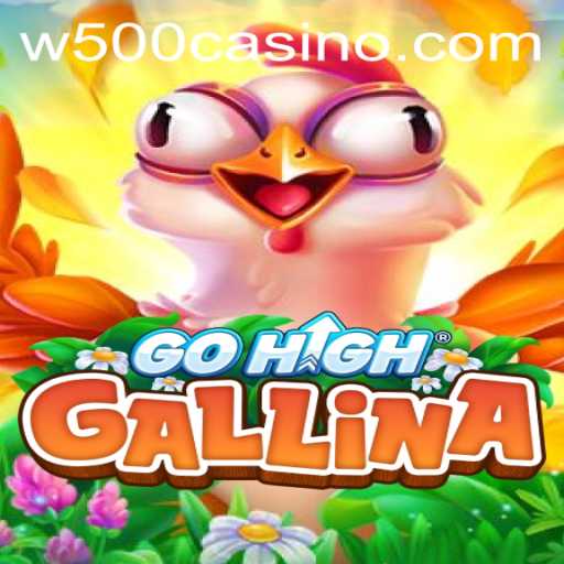 The Thrilling World of GoHighGallina: Exploring the W500 Casino's Latest Sensation